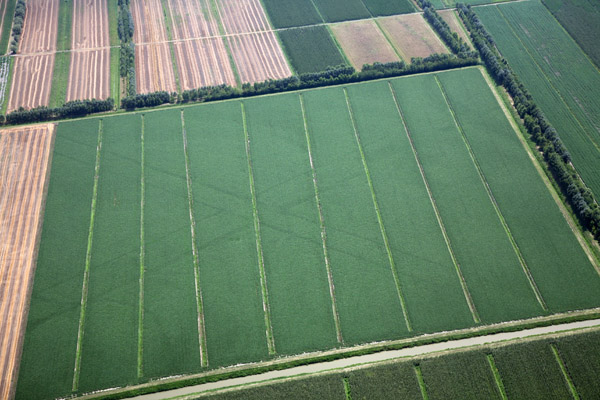 Incrocio tra il tracciato viario, forse identificabile come Via Annia, e la centuriazione di Villadose, con inquadratura da nord verso sud
