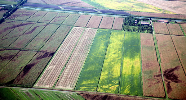 Tracce della centuriazione a nord di Adria